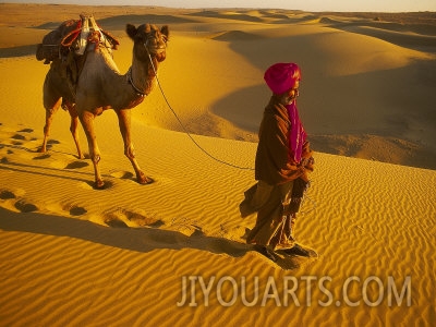 peter adams camel driver thar desert rajasthan india