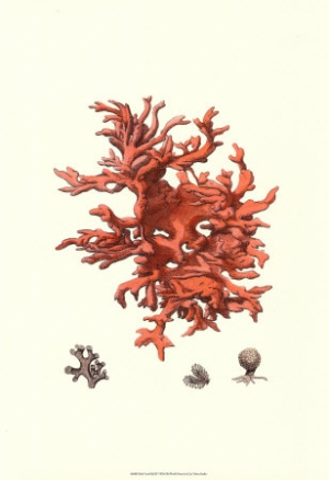 red coral iii