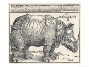 The Indian Rhinoceros is the Largest of the Asian Spiecies