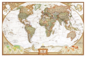 world political map executive style
