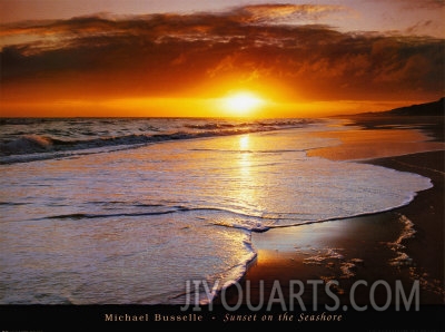 michael busselle sunset on the seashore