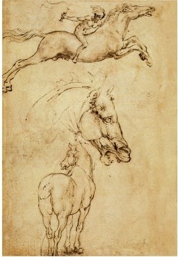 Sketch of a Horse