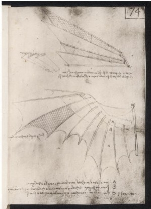 Sketches of Wings for Flying Machines
