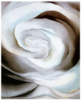 Abstraction White Rose, 1927