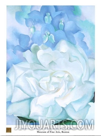 White Rose W Lakspur No.2