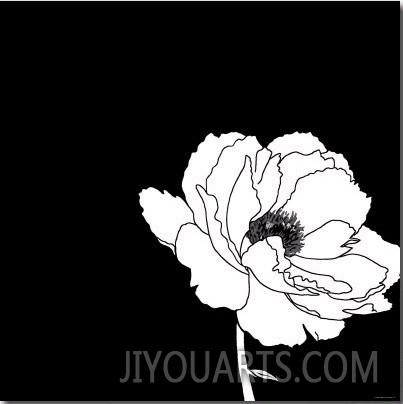 Black and White with Large White Flower
