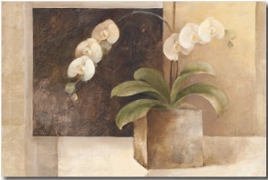 Contemporary Orchid