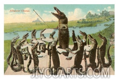 Alligator Chorus