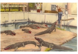 Alligator Farm, Miami, Florida