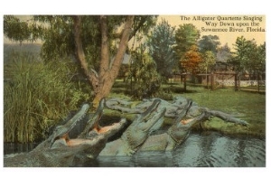 Alligator Quartet, Suwannee River, Florida
