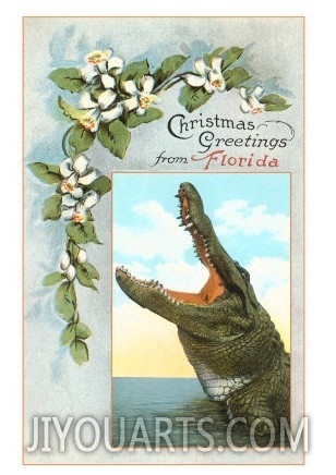 Christmas Greetings from Florida, Alligator