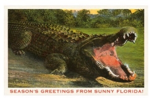 Seasons Greetings from Sunny Florida, Alligator