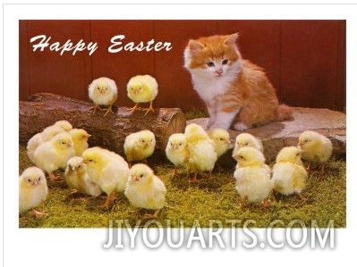 Happy Easter, Kitten and Chicks
