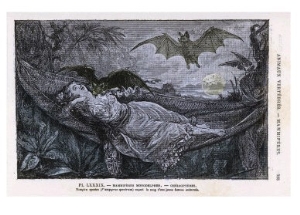 Vampire Bat Bites the Neck of a Sleeping Girl in as Hammock