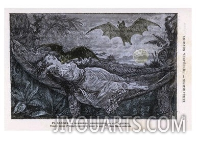 Vampire Bat Bites the Neck of a Sleeping Girl in as Hammock