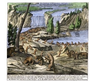 Beavers at Work Below Niagara Falls, 18th Century