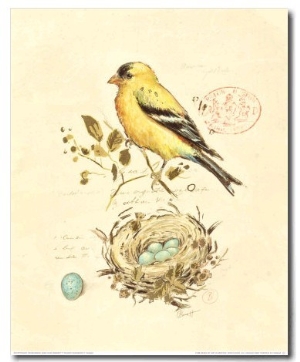 Gilded Songbird II