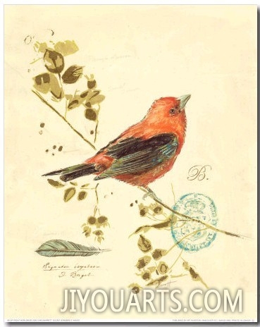 Gilded Songbird III