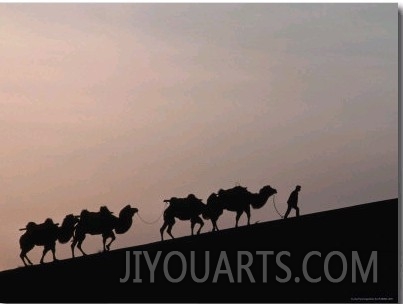 Camel Caravan Silhouetted at Dawn on the Silk Road, Dunhuang, China