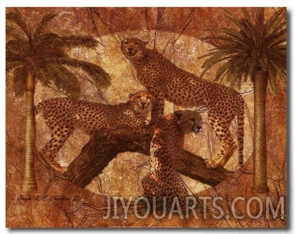 Jungle Cheetahs