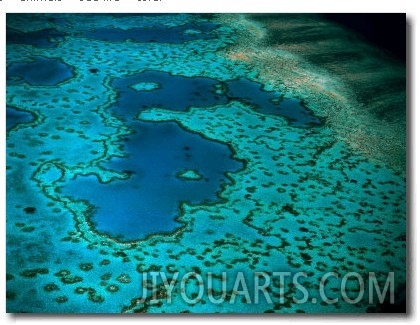 Overhead of Heart Reef, Great Barrier Reef, Australia