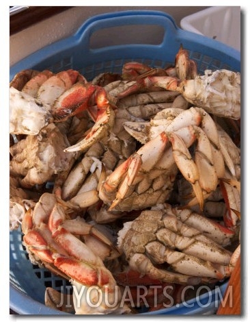 Dungeness Cooked Crab, Queen Charlotte Islands, Canada