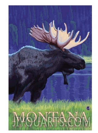 Montana, Last Best Place, Moose at Night