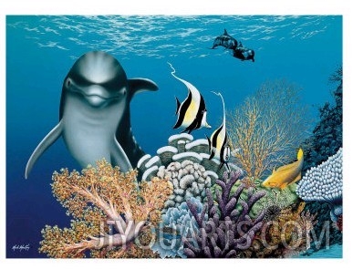 Coral Garden and Dolphin