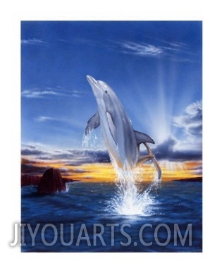 Wonders of Creation   Dolphin Series I