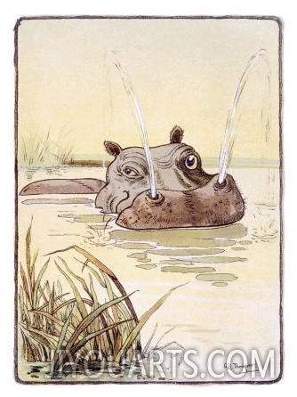 The Spoutting Hippo