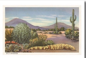 Gila Monster and Cacti