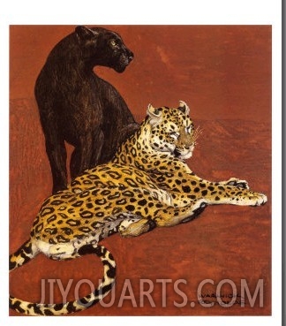 Jaguar and Black Panther