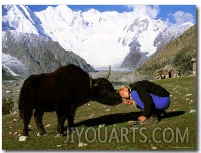 A Woman Bows to Greet a Yak in Pakistan