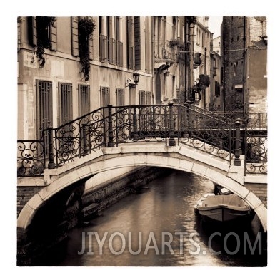 Ponti di Venezia I