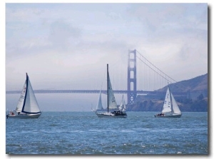 Sailing Boats with the Golden Gate Bridge and Summer Fog in Background, San Francisco, California