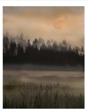 Misty Moonscape