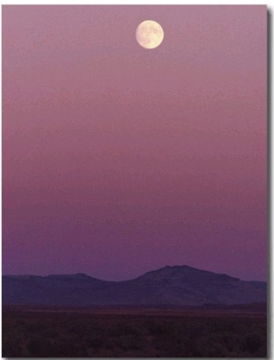 The Moon Shines over the Landscape at Twilight