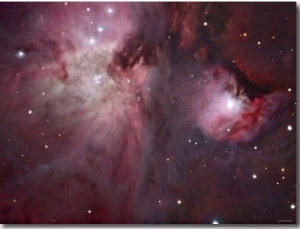 A View of the Trapezium Region, Which Lies in the Heart of the Orion Nebula