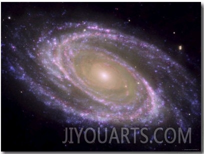 The Spiral Galaxy Known as Messier 81