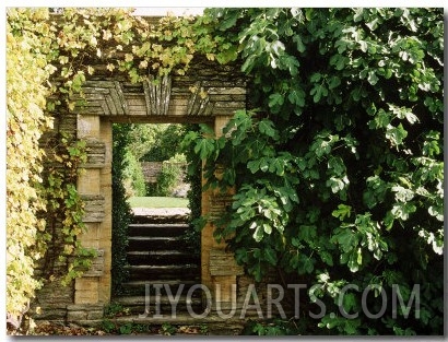 Arch Way in Ornamental Stone Wall with Fig & Vitis