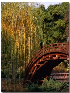 Bridge in Japanese Garden at Huntington Beach, Huntington, USA