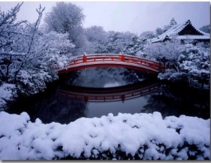 Bridge in Sinsen En Garden in Snow, Kyoto, Japan