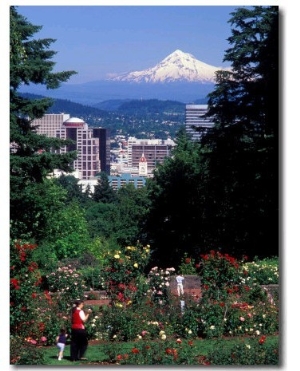 People at the Washington Park Rose Test Gardens with Mt Hood, Portland, Oregon, USA