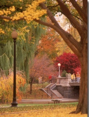 Public Gardens in Autumn, Boston, MA