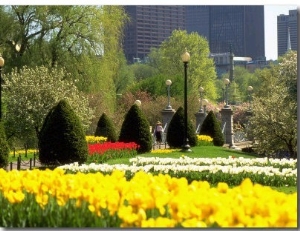 Public Gardens, Boston, MA