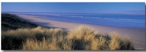 all Grass on the Coastline, Saunton, North Devon, England