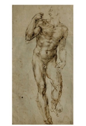 Nude Male Figure Seen Frontally, circa 1502 1506