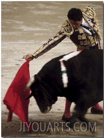 Spanish Bullfighter Camargue France