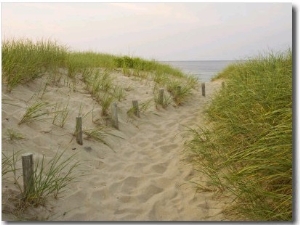 Path at Head of the Meadow Beach, Cape Cod National Seashore, Massachusetts, USA
