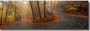 Winding Road Through Mountainside in Autumn, Monadnock Mountain, New Hampshire, USA